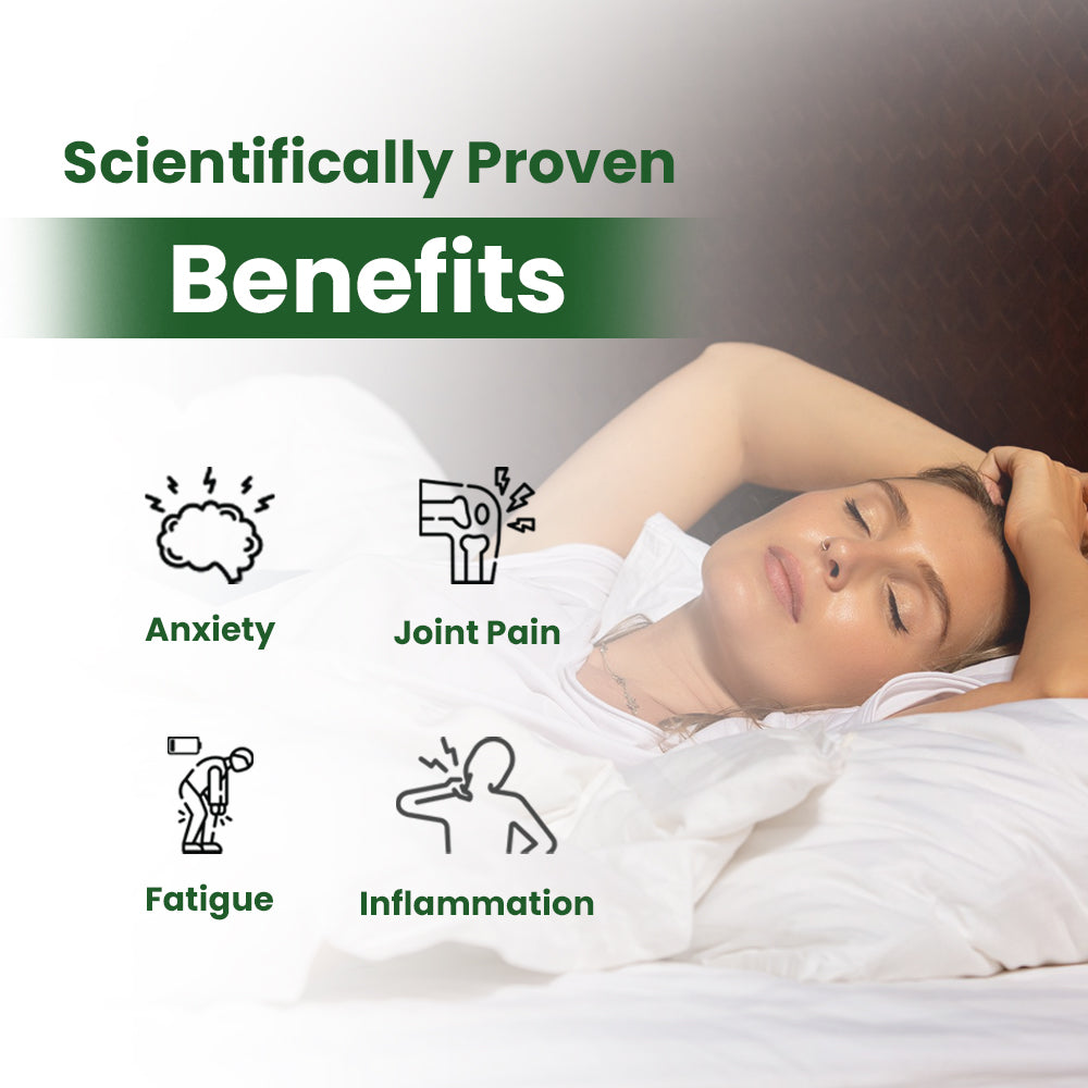 Premium Grounding Fitted Sheet